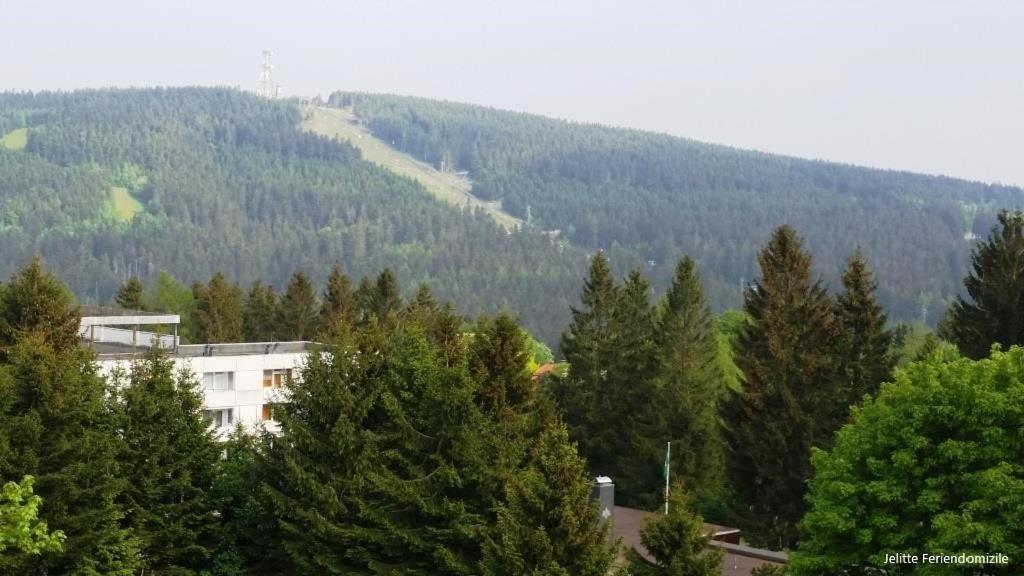 App 507 Bocksbergblick Im Ferienpark Hahnenklee Haus 1 Goslar Exteriör bild