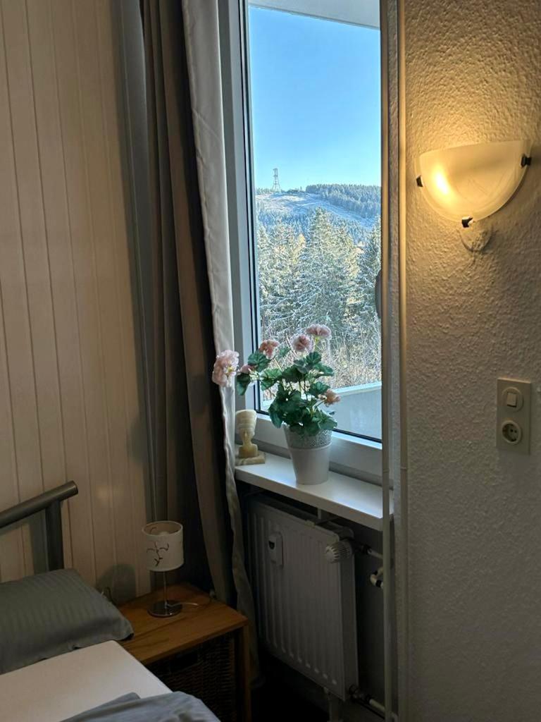 App 507 Bocksbergblick Im Ferienpark Hahnenklee Haus 1 Lägenhet Goslar Exteriör bild