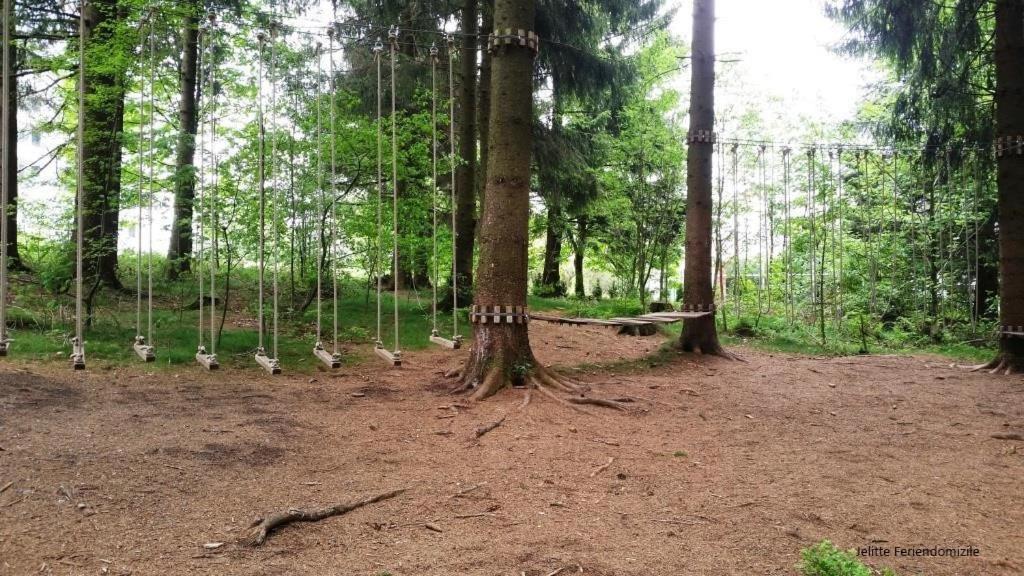 App 507 Bocksbergblick Im Ferienpark Hahnenklee Haus 1 Lägenhet Goslar Exteriör bild